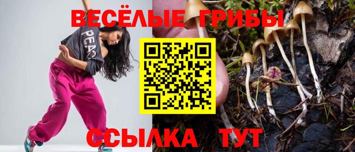 Галлюциногенные грибы мицелий Донецк