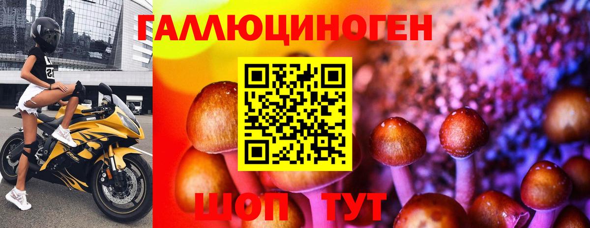 Донецк  Галлюциногенные грибы ЛСД  Вход с VPN 